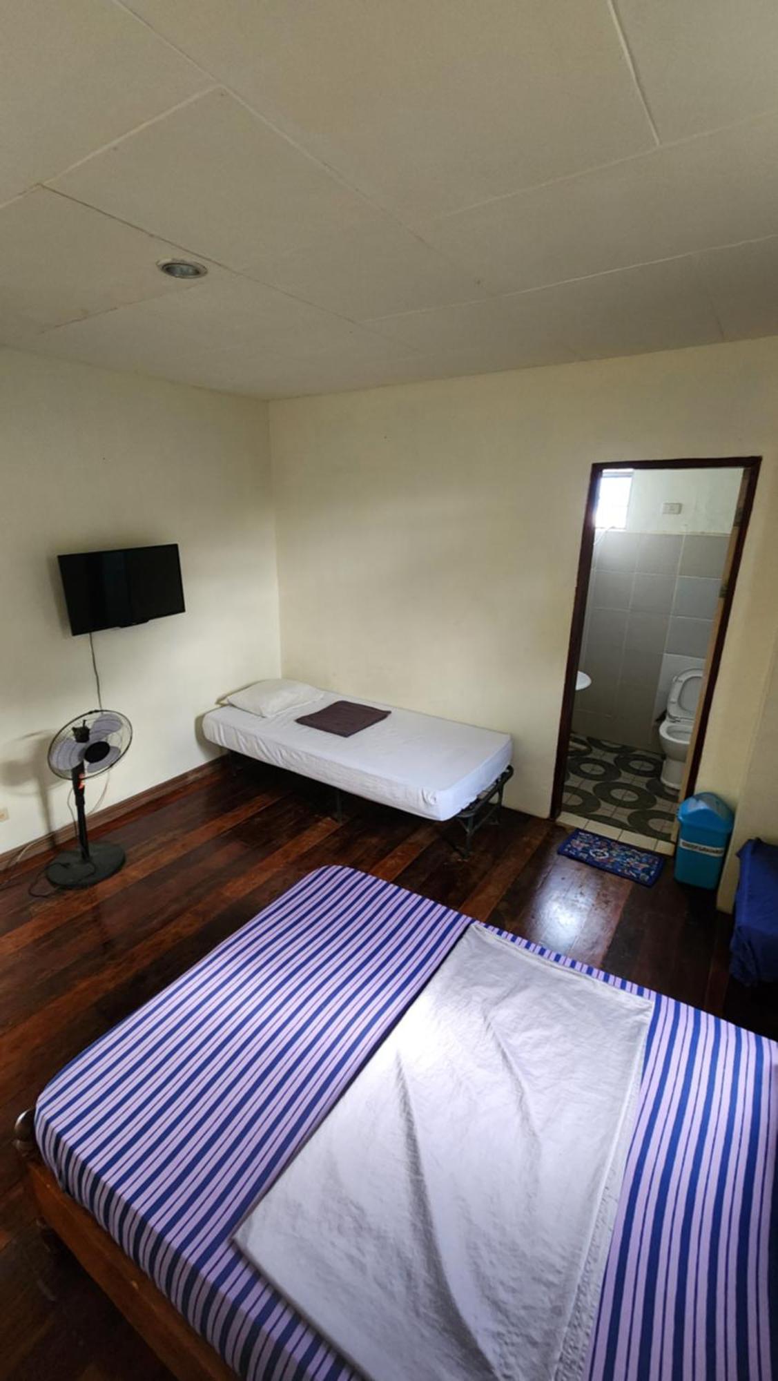 Screaming Gecko Hostel Busuanga Exterior foto